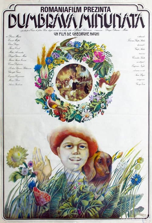 The Enchanted Grove (1980) poster