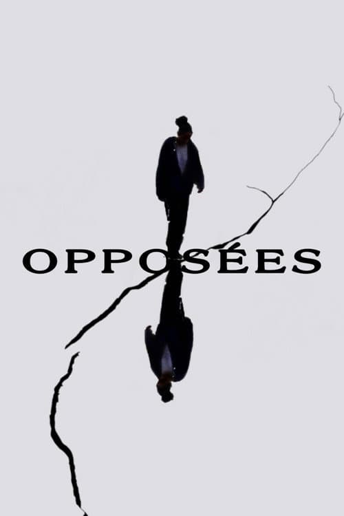Opposites (2022) poster