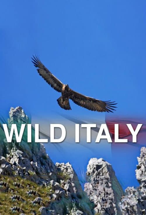 Wild Italy (2014) poster