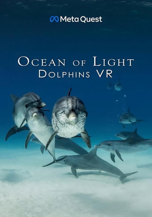 Ocean of Light - Dolphins VR poster