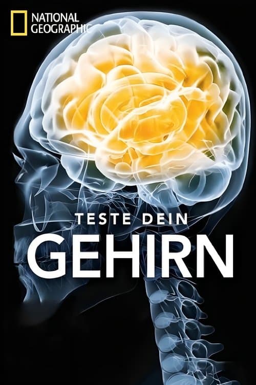 Test Your Brain (2011) poster