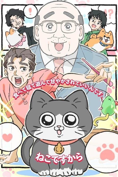 Cat Uncle: The Guy That Got Reincarnated As a Cat (2024) poster
