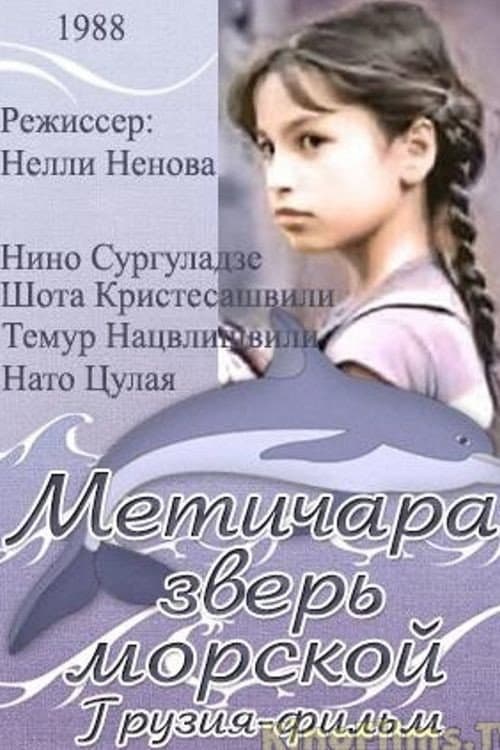 Metichara (1988) poster
