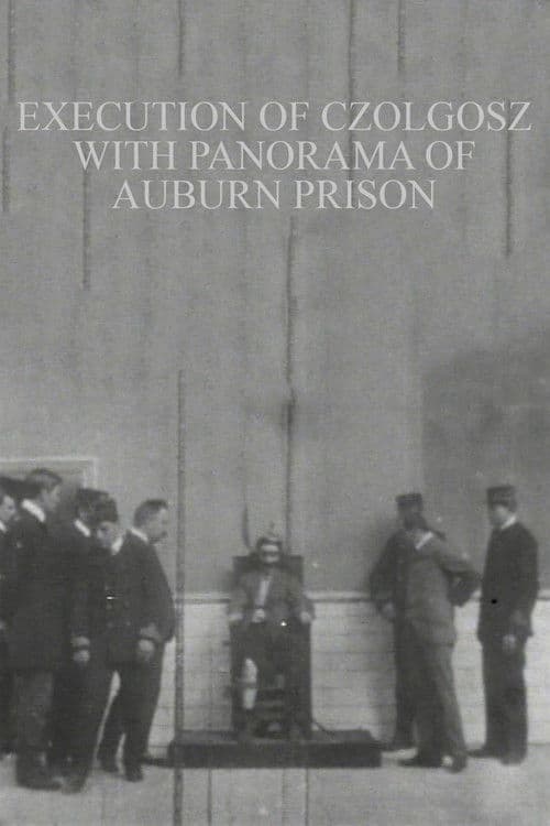 Execution of Czolgosz with Panorama of Auburn Prison (1901) poster