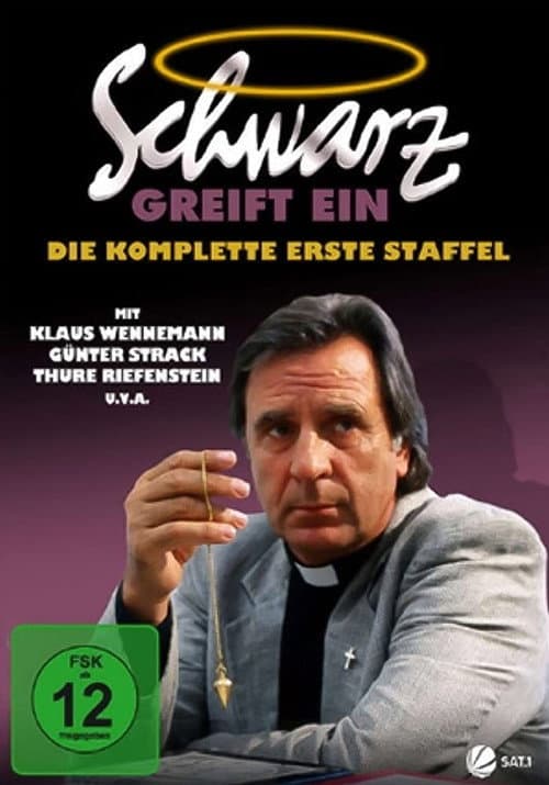 Schwarz greift ein (1994) poster