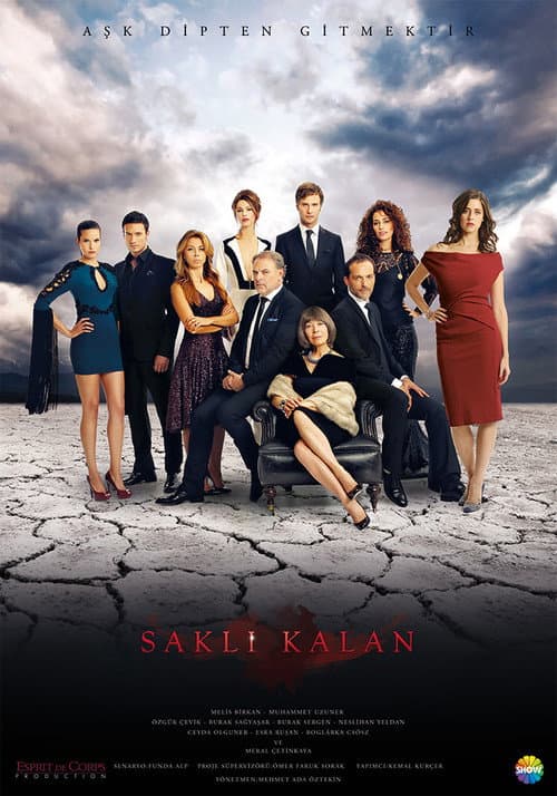 Saklı Kalan (2013) poster