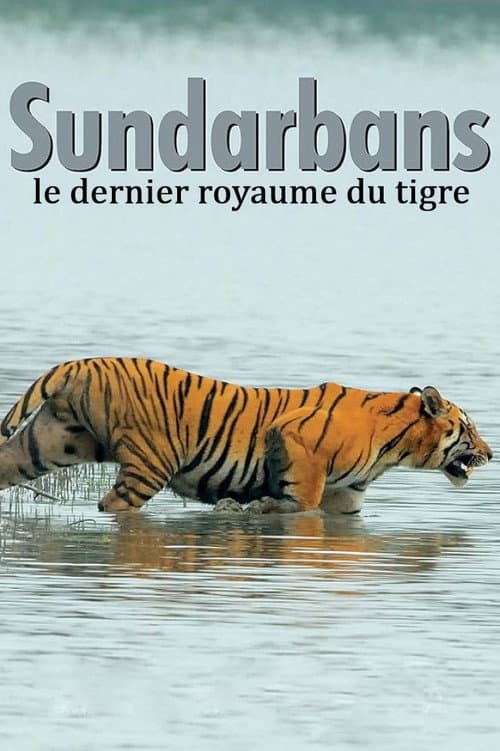 Sundarbans, le dernier royaume du tigre poster
