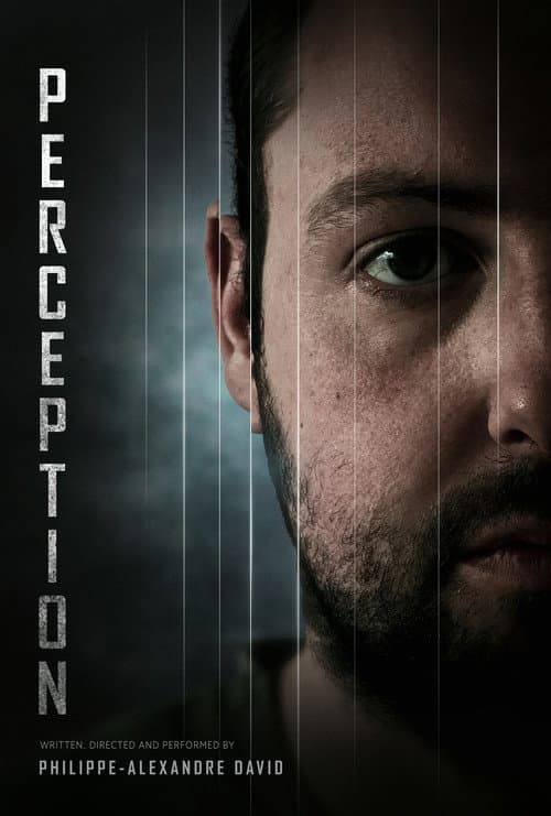 Perception poster