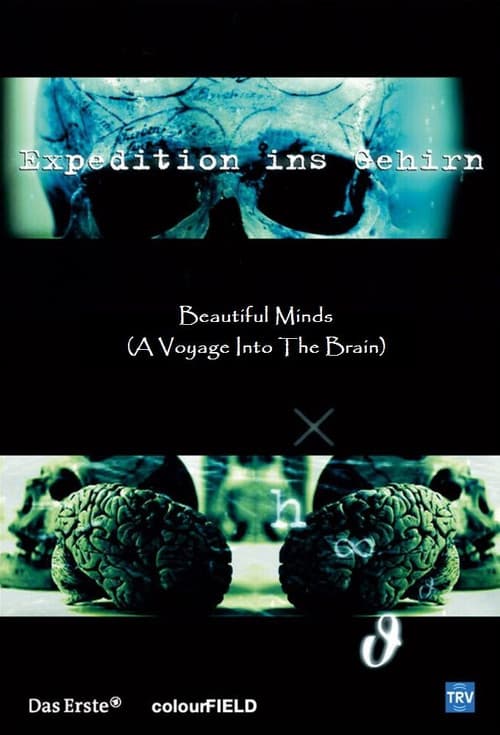 Beautiful Minds - Voyage into the Brain poster