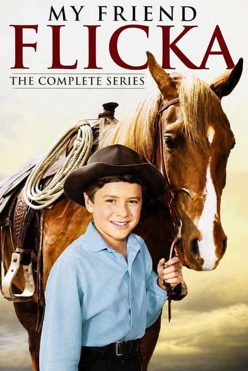 My Friend Flicka (1955) poster