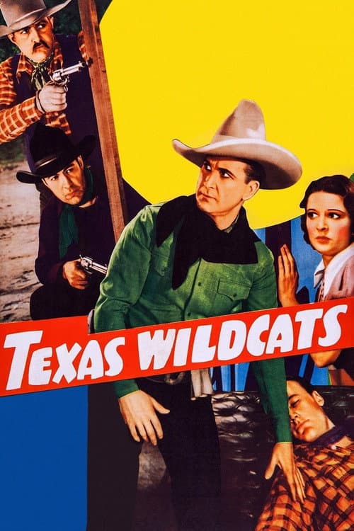 Texas Wildcats (1939) poster