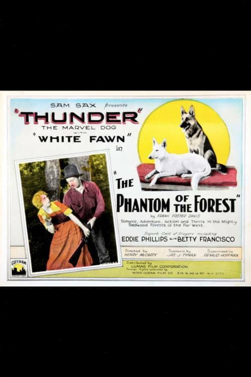 The Phantom of the Forest (1926) poster