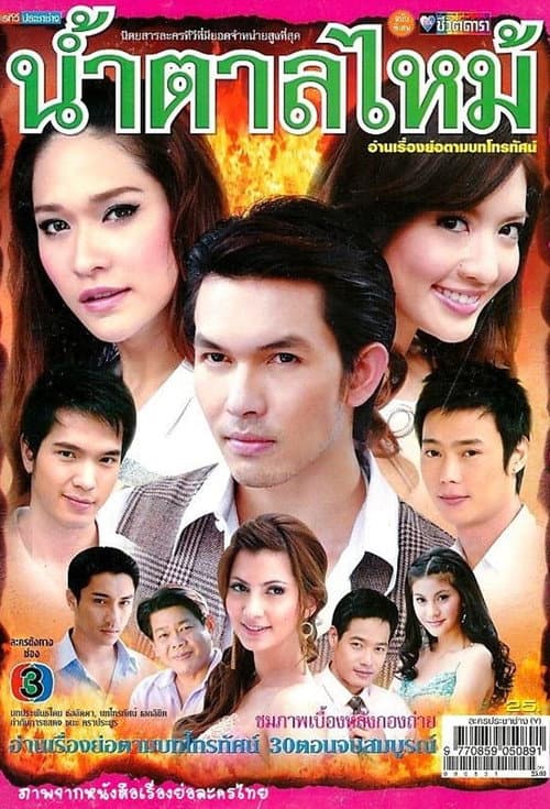 Burnt Sugar poster