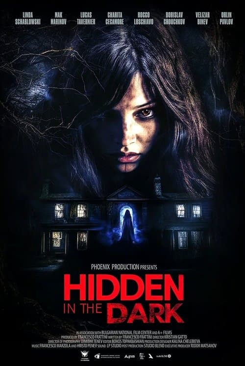 Hidden in the Dark poster