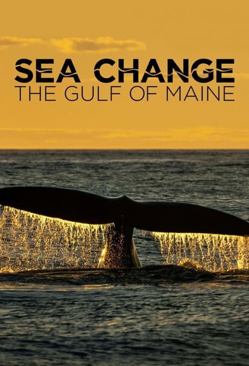 Sea Change: The Gulf of Maine (2024) poster