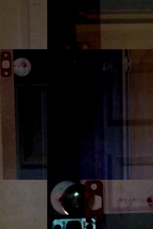 What Was It Supposed to Be Like? poster