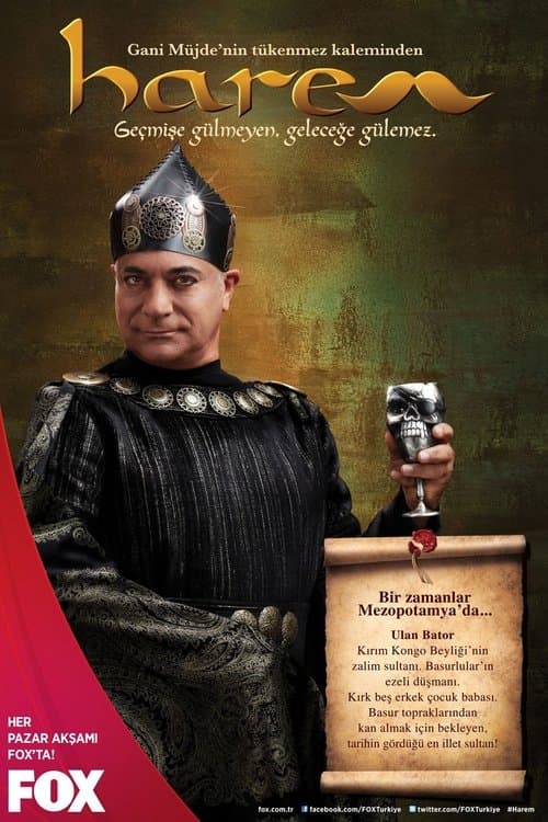 Harem (2012) poster