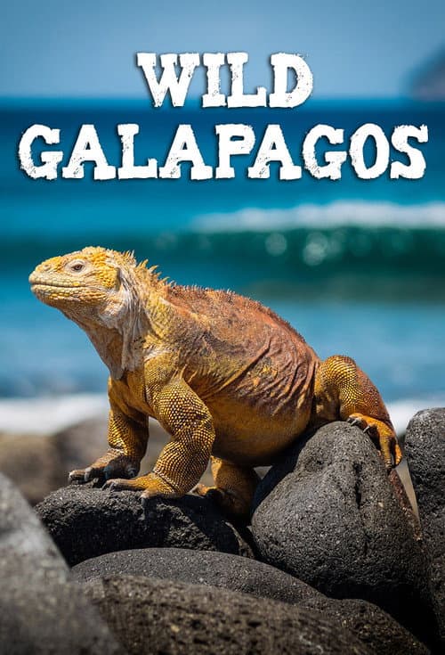 Wild Galápagos (2017) poster