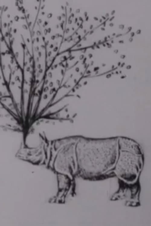 Rhinomorphose (1965) poster