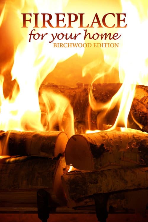 Fireplace for Your Home: Birchwood Edition poster