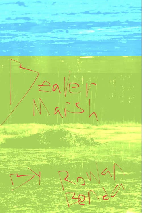 Beaver Marsh poster