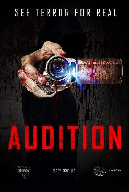 Audition: Found Footage Film poster
