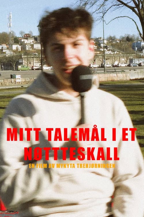 My language in a nutshell poster
