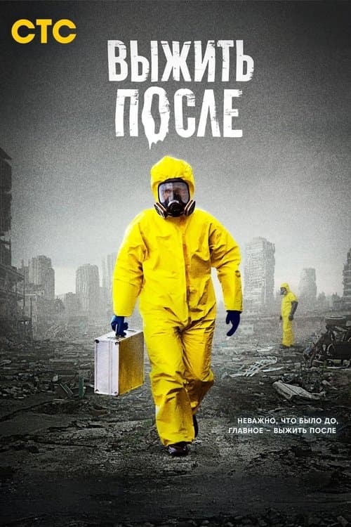 The Day After (2013) poster