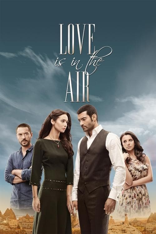 Love Is in the Air (2010) poster