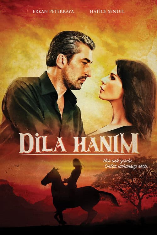 Dila Hanim (2012) poster