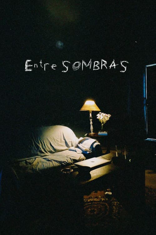 Entre sombras (2022) poster