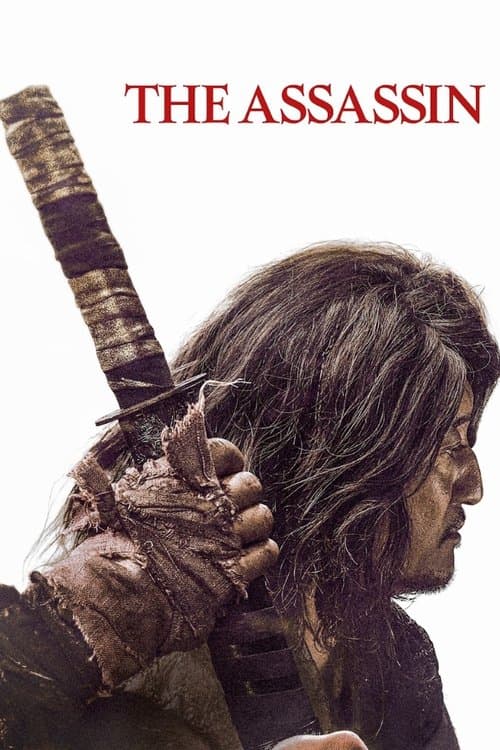 The Assassin (2023) poster