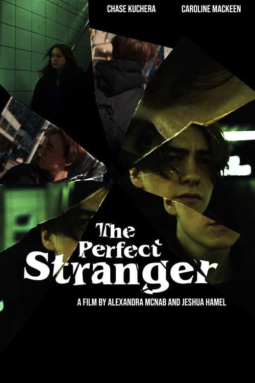 The Perfect Stranger (2023) poster