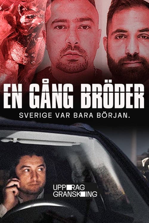 Mission: Investigate – Once Brothers (2025) poster