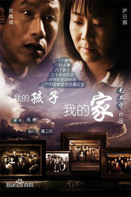 我的孩子我的家 (2010) poster