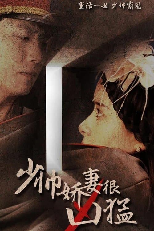 少帅娇妻很凶猛 poster
