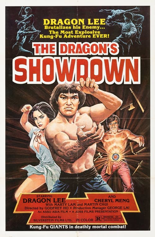 The Dragon's Infernal Showdown (1980) poster