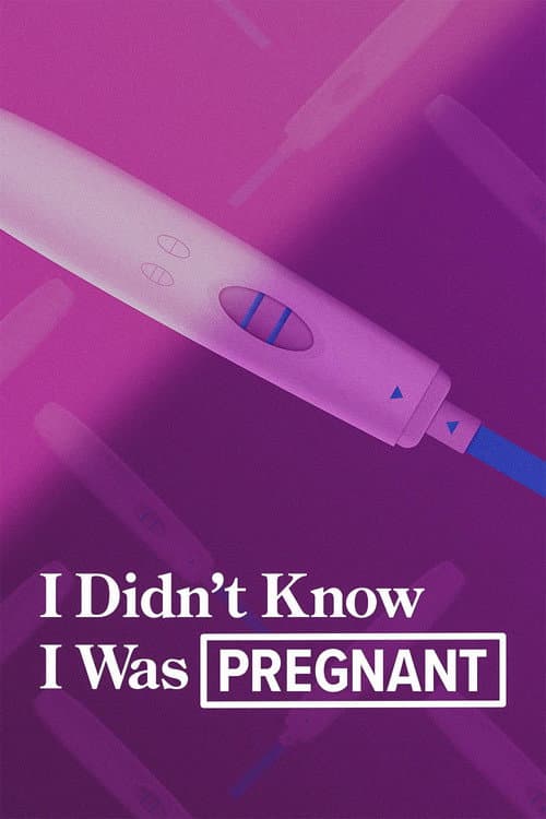 I Didn't Know I Was Pregnant (2009) poster