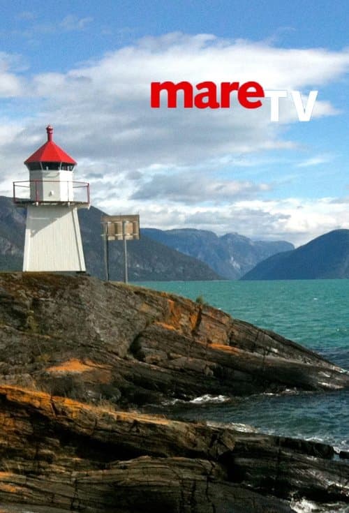 mare TV (2001) poster
