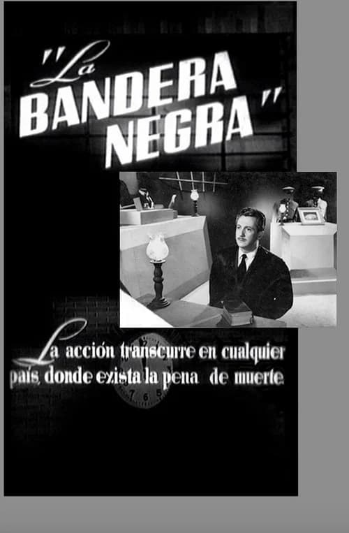 The Black Flag poster