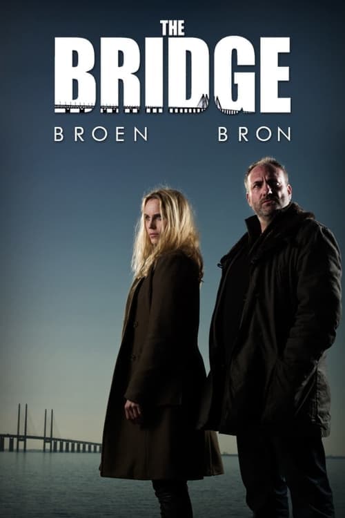 The Bridge (2011) poster