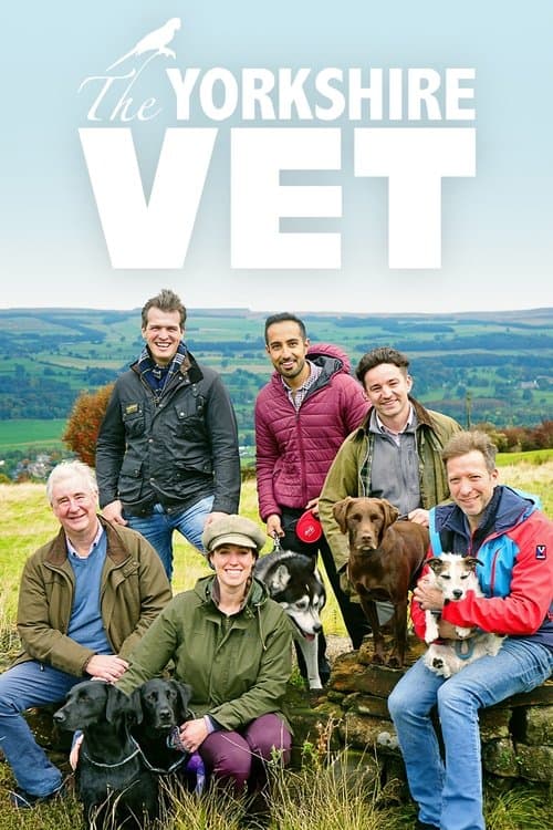 The Yorkshire Vet (2015) poster