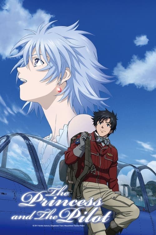 The Princess and the Pilot (2011) poster