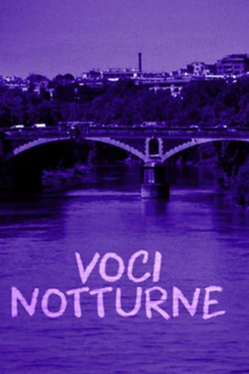 Night Voices (1995) poster
