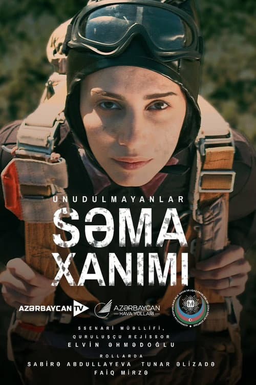 Lady of the Sky poster