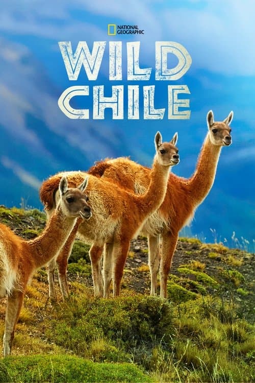 Wild Chile (2018) poster