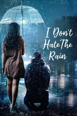 I Don't Hate The Rain poster