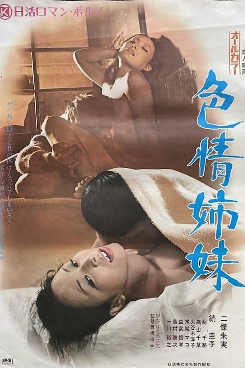 Lusty Sisters (1972) poster
