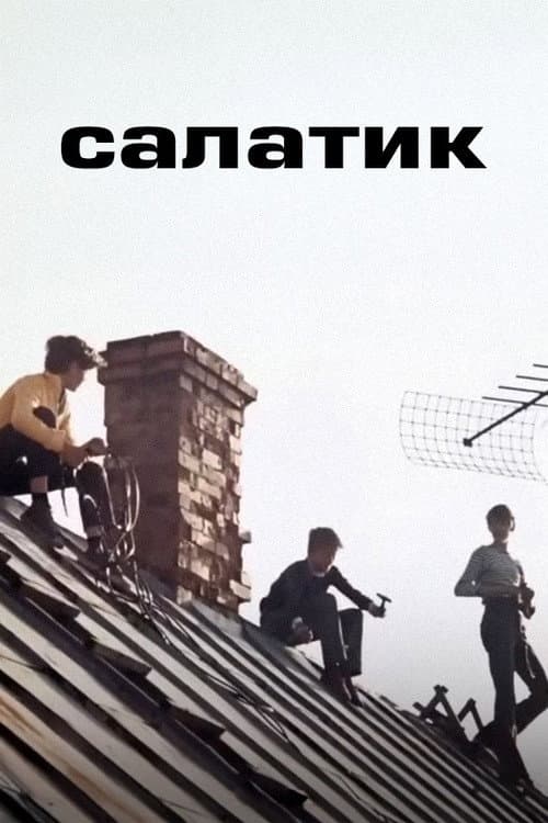 Salad (1971) poster