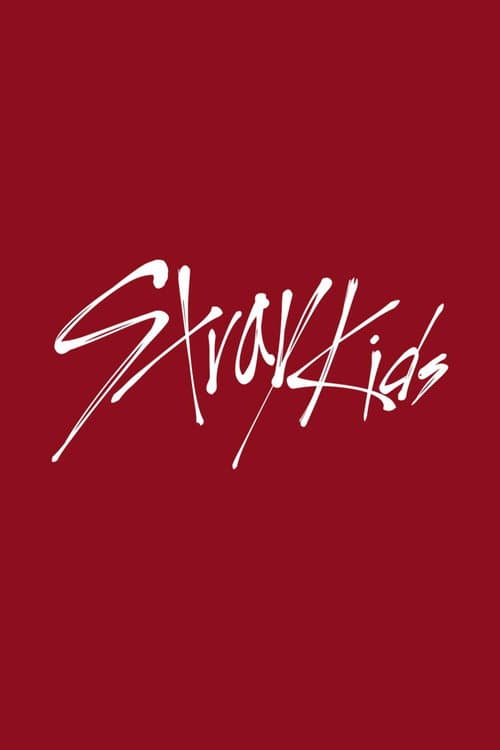 SKZ-TALKER poster